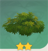 青衫问寒